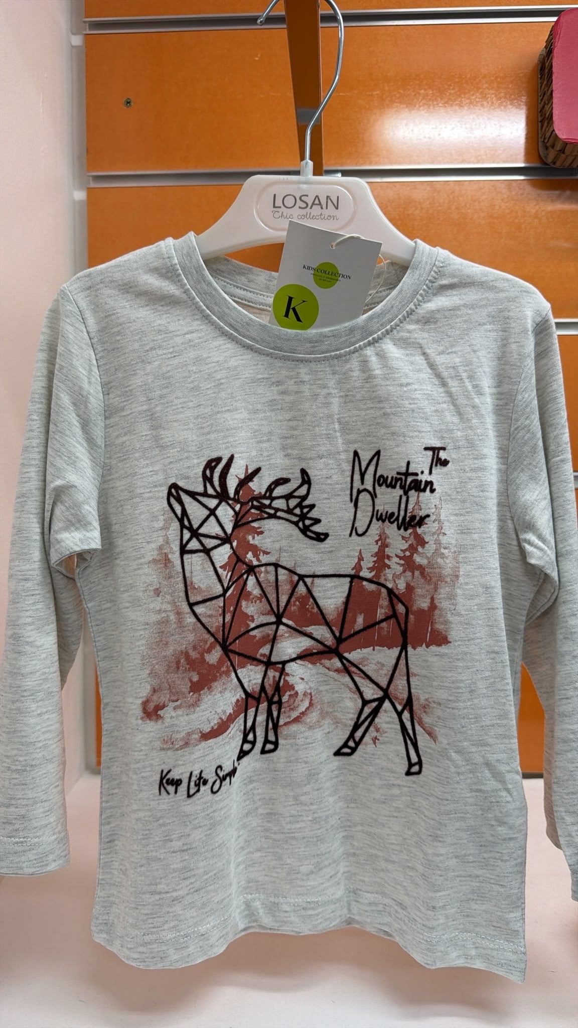 Camiseta niño Losan Mountain Dweller gris — fotografía del producto