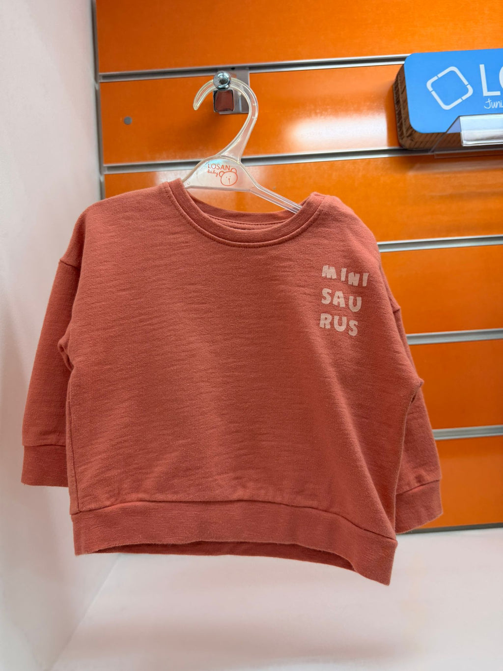 Sudadera bebé Losan terracota Mini Saurus 3-6 meses - frontal