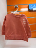 Sudadera bebé Losan terracota Mini Saurus 3-6 meses - frontal