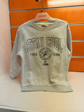 Sudadera niño Losan gris Stay Cool T-Rex, talla 6 años